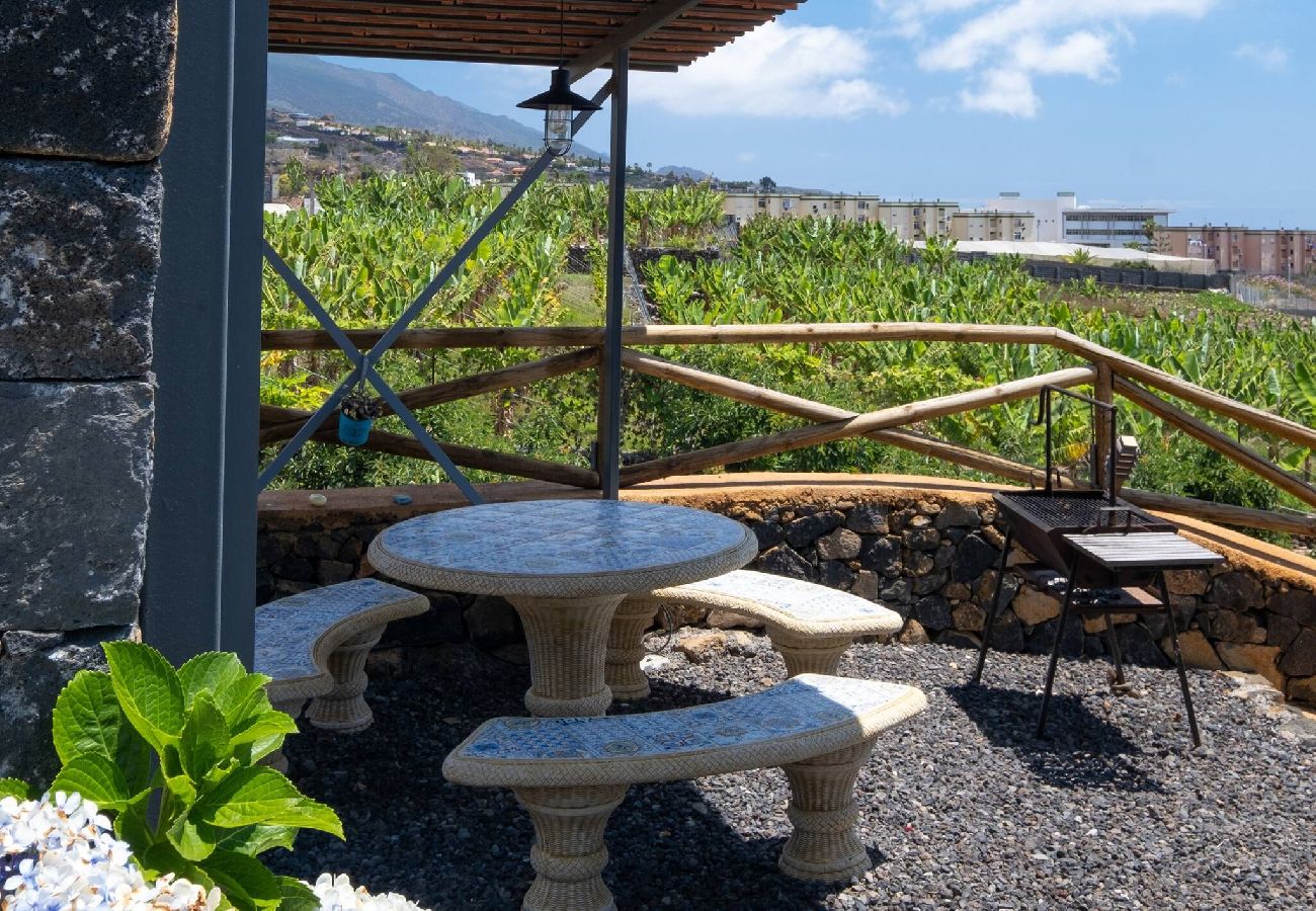 Villa in Los Llanos de Aridane - Villa La Graja by Huskalia | private pool