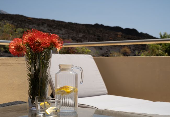 Ferienhaus in Los Llanos de Aridane - Casa Penthaus Ferienhaus in Los Llanos de Aridane - Casa Penthaus