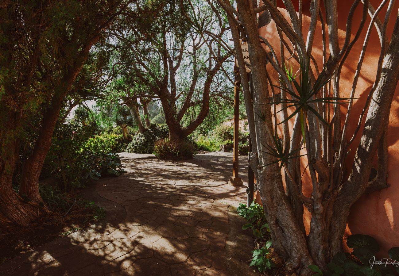 Ferienwohnung in Breña Alta - Succession - Finca El Ingeniero