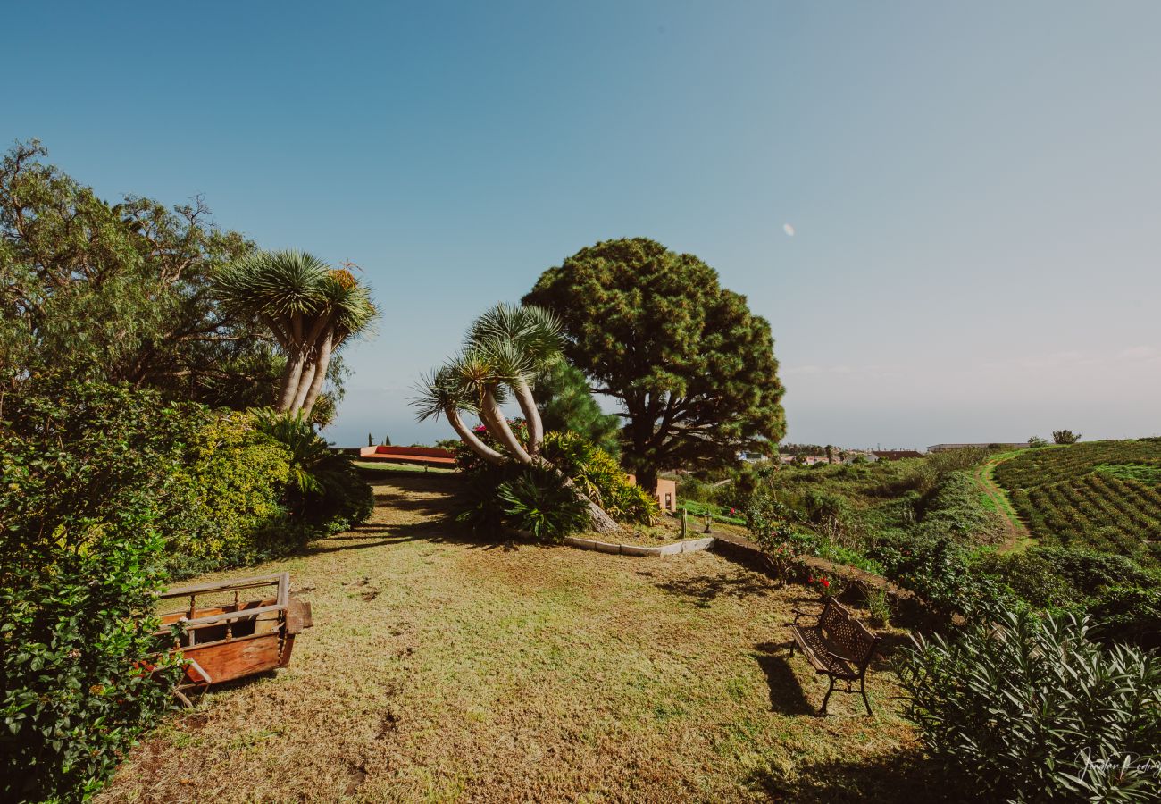 Zimmeranmietung in Breña Alta - Soleil - Finca El Ingeniero