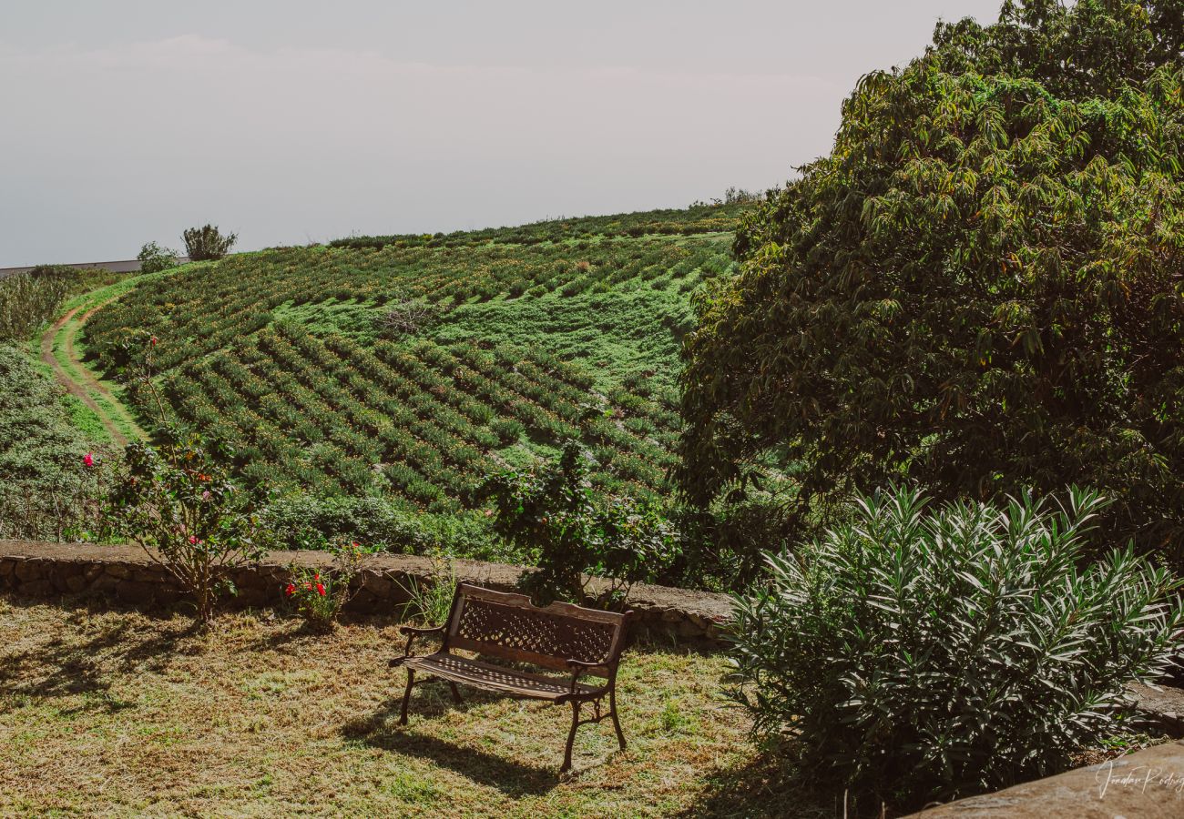 Zimmeranmietung in Breña Alta - Soleil - Finca El Ingeniero