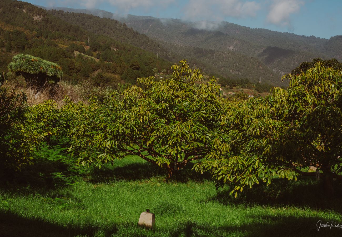 House in Breña Alta - Succession by Huskalia