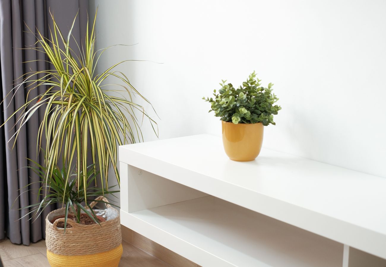 Apartment in Santa Cruz de la Palma -  La Trasera de Triana
