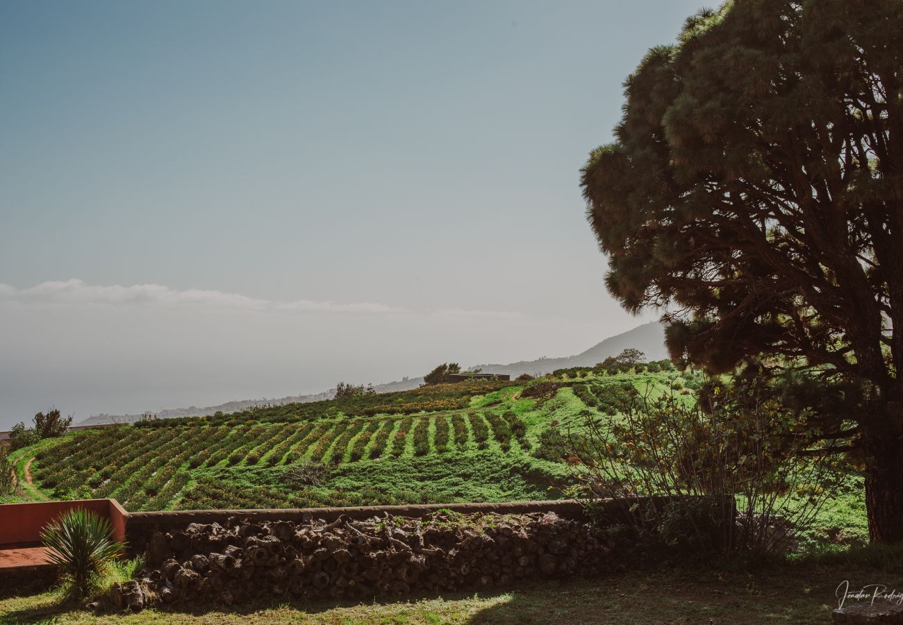 Rent by room in Breña Alta - Soleil - Finca El Ingeniero