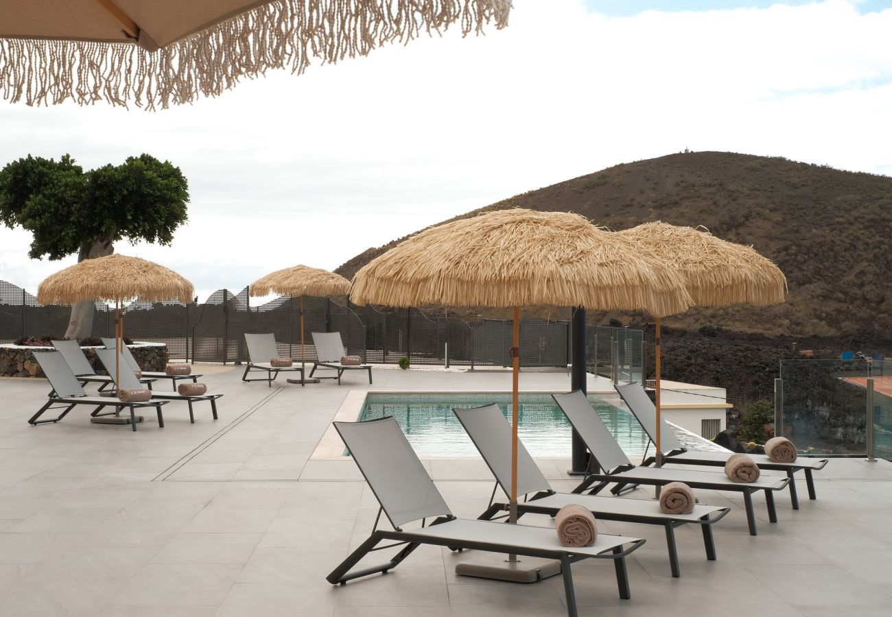 Apartment in Los Llanos de Aridane - Finca El Moral - Suite Olivo